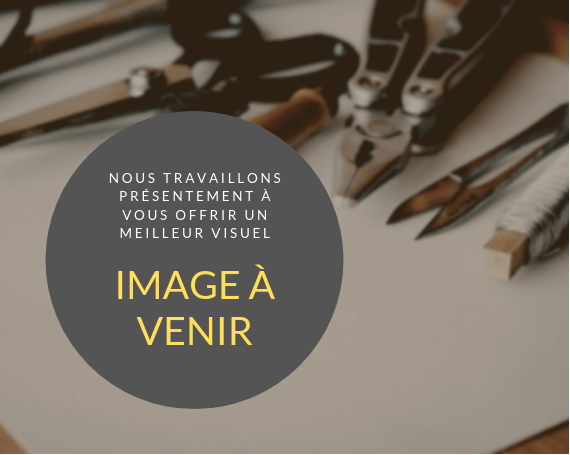 RD Electrique / La Maison de l'Aspirateur photo 3